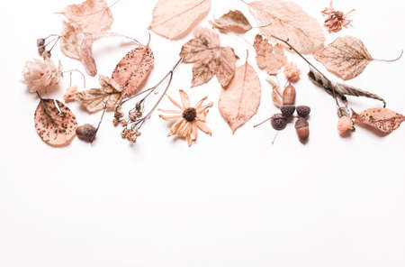 Background creative of yellow dry leaves, acorn, walnut, flowers. concept of autumn. Pastel colors. Top view, flatの写真素材