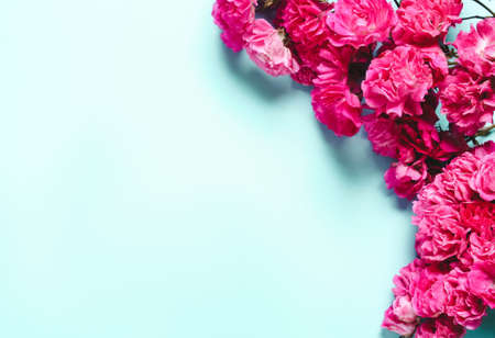 Composition of coral, pink flowers on blue background. Natural festive letterheadの写真素材