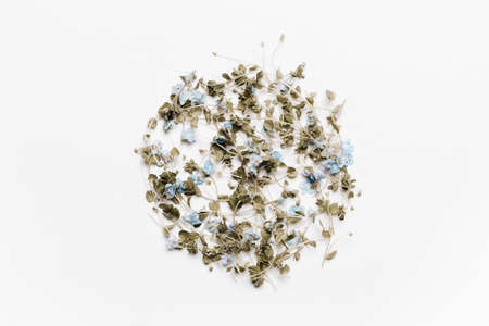 Green leaves and blue flowers in a circle on a white background. Minimalistic, eco, eco-friendly, creative concept. View from aboveの写真素材