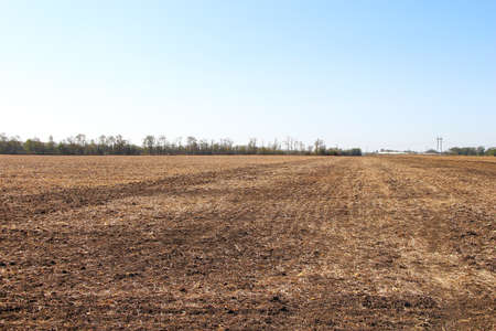 Plowed field and a good weather