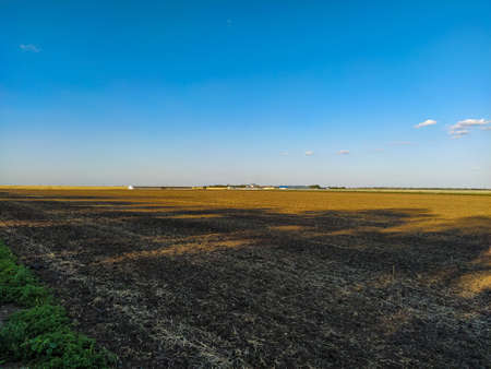 Fields and vineyards in the distance