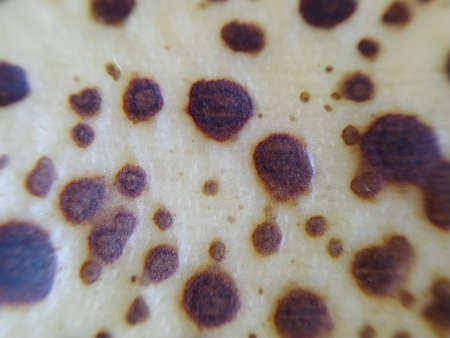 Banana peel with macro photoの写真素材