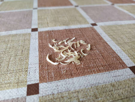 Clipped nails on a table, isolatedの写真素材