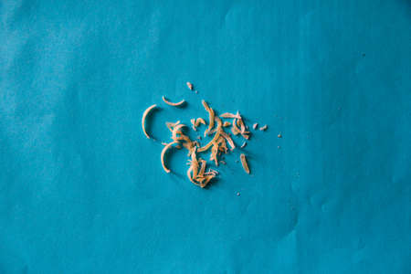 Clipped nails on the blue paperの写真素材