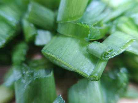 Sliced green onions, macro photoの写真素材