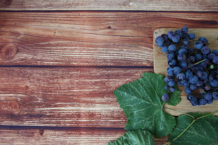 Blue grape bunches with leaves on brown wooden background with a copyspaceの写真素材