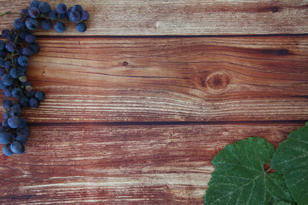 Blue grape bunches with leaves on brown wooden background with a copyspaceの写真素材