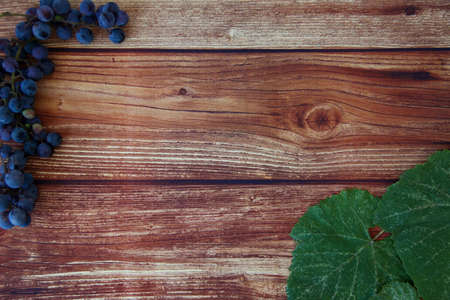 Blue grape bunches with leaves on brown wooden background with a copyspaceの写真素材