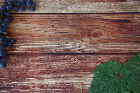Blue grape bunches with leaves on brown wooden background with a copyspaceの写真素材