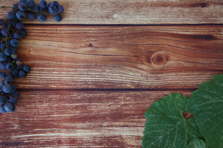 Blue grape bunches with leaves on brown wooden background with a copyspaceの写真素材