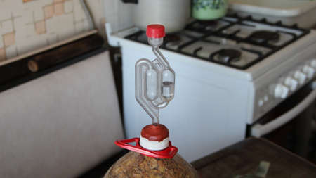 Active wine fermentation process, water seal on a bottle of homemade wine, close-upの写真素材