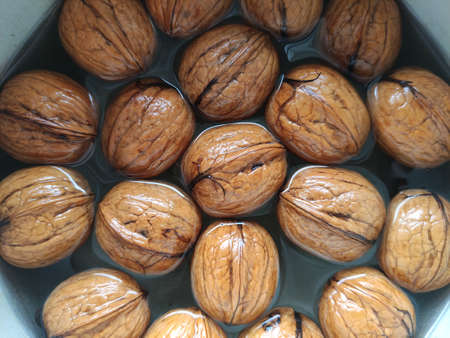 Walnuts in the water, close upの写真素材