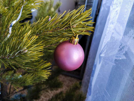 Christmas toy ball on a Christmas tree, festive photo close upの写真素材