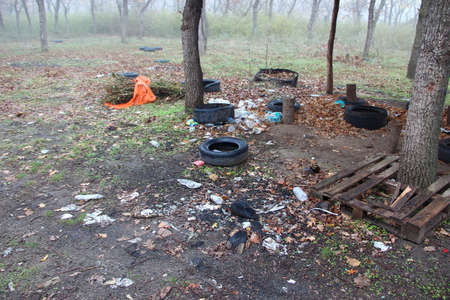Garbage and old tires in the forest, ecology problemsの写真素材