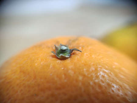 Ripe tangerine, the macro photoの写真素材