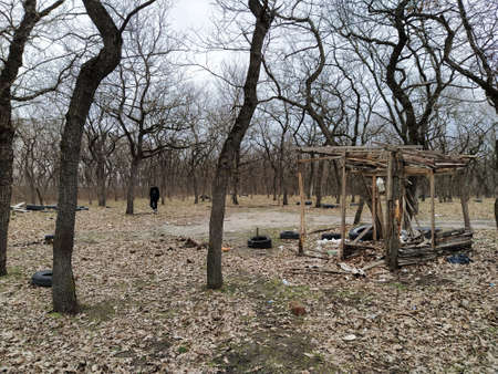 Self-made gazebo for relaxing in the forestの写真素材