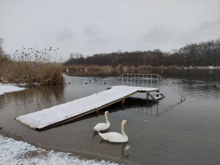 Font with a platform on the river for Epiphany bathing, the Orthodox religious rites. Snow falls and water birds swim nearbyの写真素材
