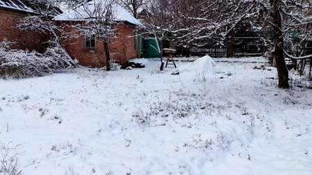 Courtyard of a russian private house covered with a snowの写真素材