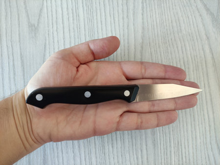 Small kitchen knife in a hand