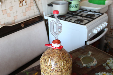 Active wine fermentation process, water seal on the bottle of homemade wine, close-upの写真素材