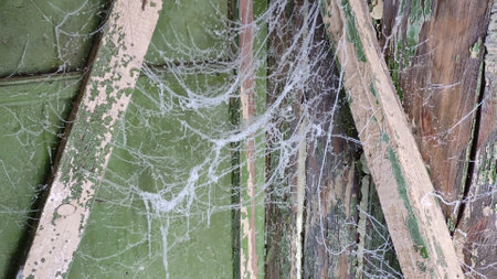 Frozen cobwebs from the wooden ceiling of a barn or rural toilet