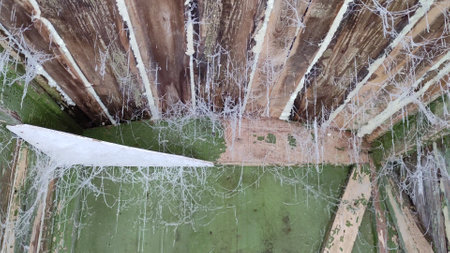 Frozen cobwebs from the wooden ceiling of a barn or rural toiletの写真素材