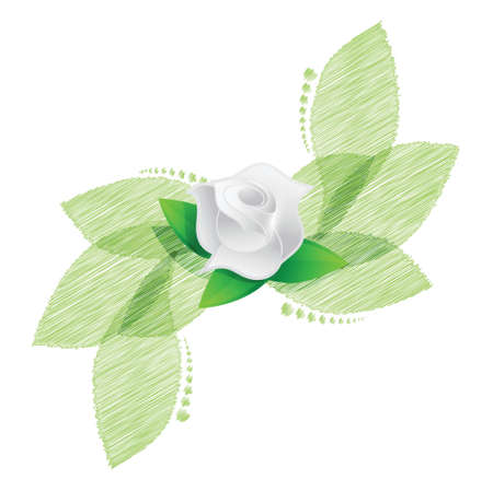 rose over green leaves illustration design over a white backgroundのイラスト素材