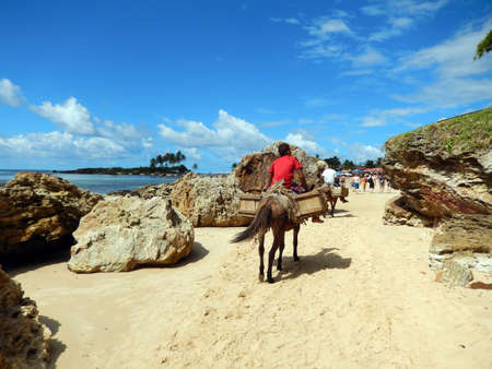 beach from the lighthouse. Morro de Sao Paulo. Brazilのeditorial素材