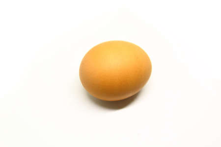 Single brown chicken egg isolated over a white backgroundの写真素材
