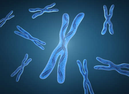Chromosome x and DNA Strandsの写真素材