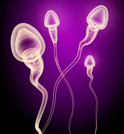 Sperm X-ray view. 3D genered image.の写真素材