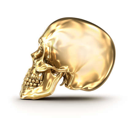 Golden human skull over white, 3D illustrationの写真素材