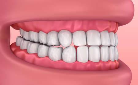 Mouth gum and teeth. Medically accurate tooth 3D illustration