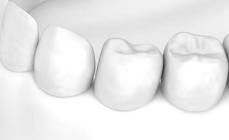 Mouth gum and teeth. White stye 3D illustrationの写真素材