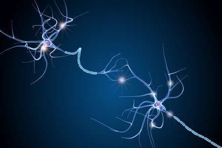 Nerve cell anatomy in details. 3D illustrationの写真素材
