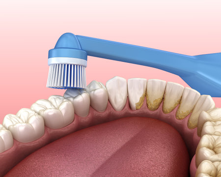 Electric Toothbrush cleaning teeth, Isolated on white. Medically accurate 3D illustration of oral hygiene.の写真素材