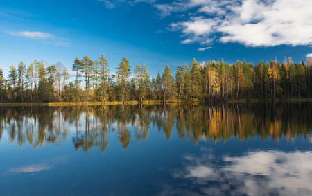 The forest lake in autumn dayの写真素材