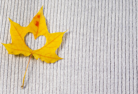 autumn fall leaves on paper with colorful pencils glasses frame mockup freeの写真素材