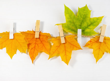 autumn fall leaves on paper with colorful pencils glasses frame mockup freeの写真素材
