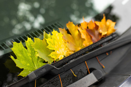 autumn fall leaves on paper with colorful pencils glasses frame mockup freeの写真素材