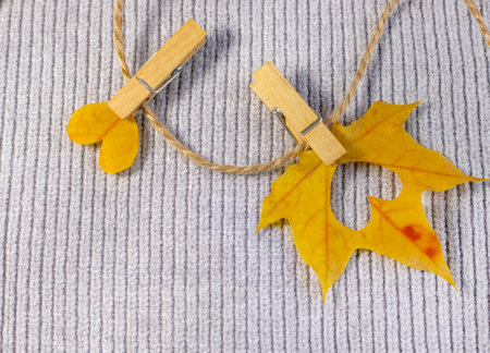 autumn fall leaves on paper with colorful pencils glasses frame mockup freeの写真素材