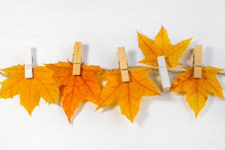 autumn fall leaves on paper with colorful pencils glasses frame mockup freeの写真素材