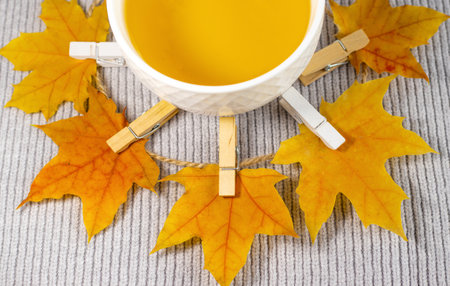 autumn fall leaves on paper with colorful pencils glasses frame mockup freeの写真素材