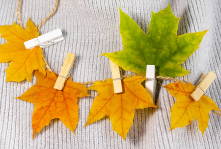 autumn fall leaves on paper with colorful pencils glasses frame mockup freeの写真素材