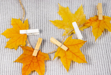 autumn fall leaves on paper with colorful pencils glasses frame mockup freeの写真素材