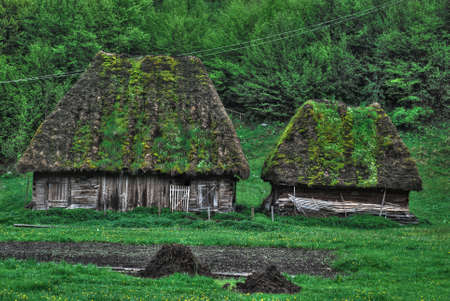 Old and basic wooden architecture with grass growing on the roofの写真素材