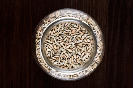 Grains of corn dry in a jar on a dark wooden background