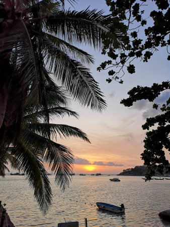 Boats on the sea during sunset - Ao Chalok Ban Kao beach, Koh Tao, Thailandの写真素材