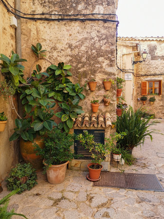Medieval streets of Valldemossa decorated with plants - Mallorcaの写真素材