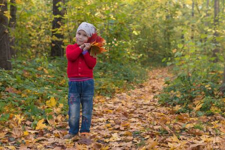 a girl holding a maple leaf in autumn forestのeditorial素材